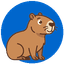 CNPJ Go! logo